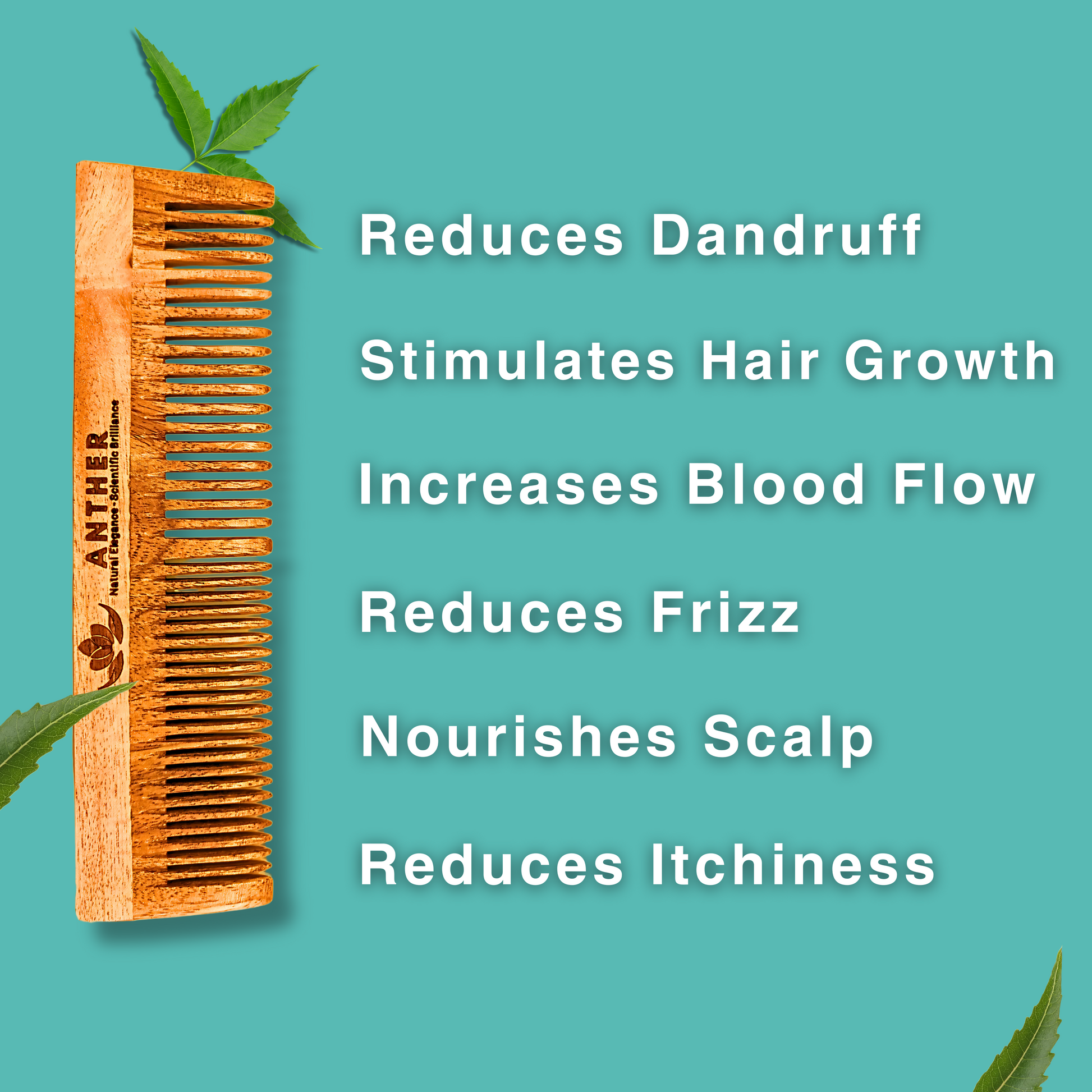 Anther Neem Wood Comb Benefits