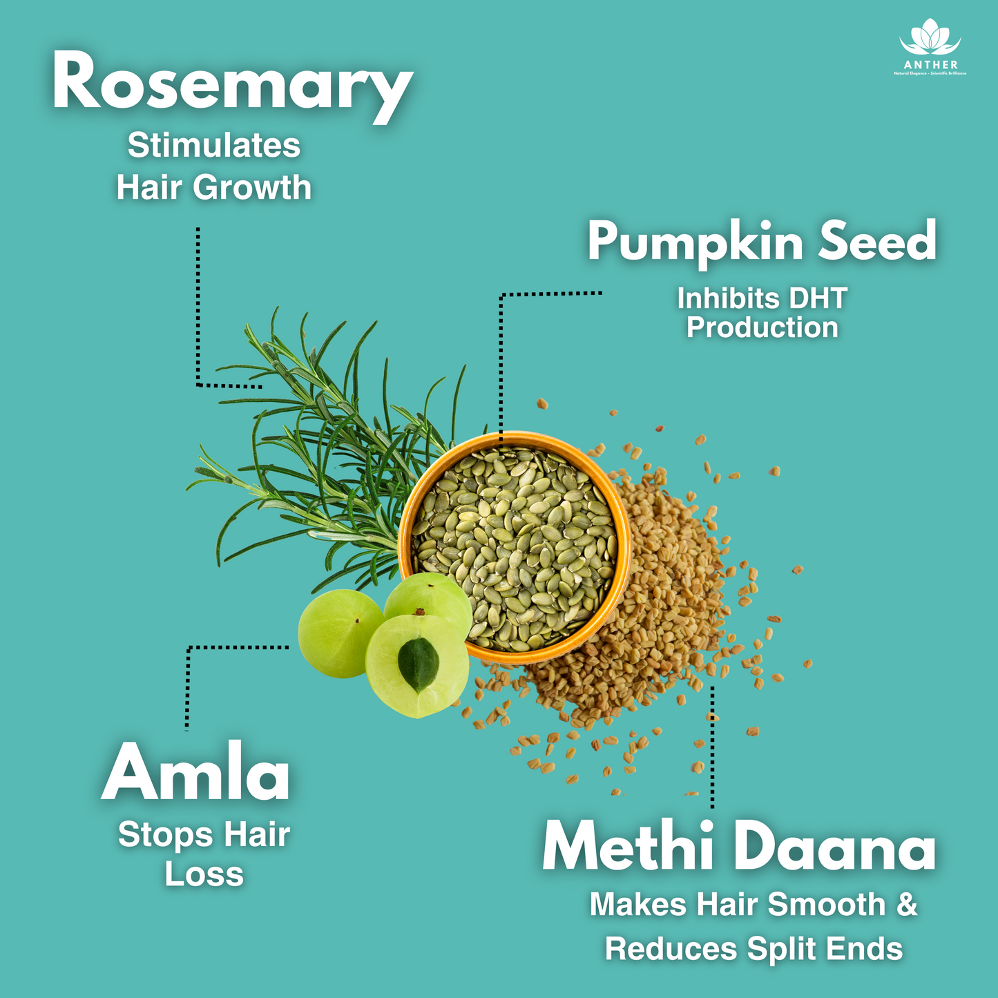 Natural Hair Growth Ingredients – Rosemary, Peppermint, Brahmi, Amla