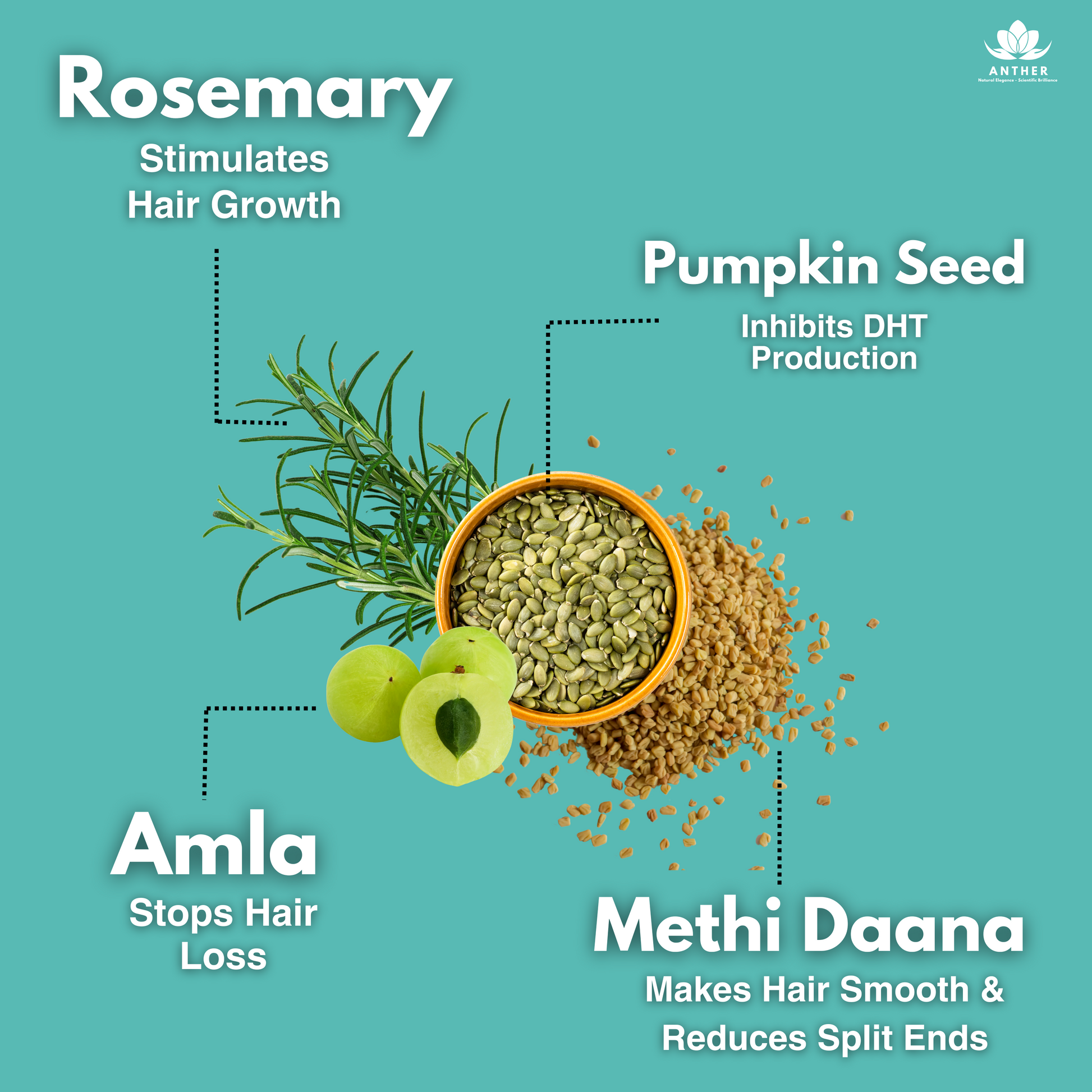 Natural Hair Growth Ingredients – Rosemary, Peppermint, Brahmi, Amla
